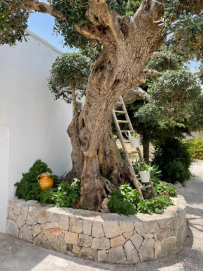 Il trullo di nonno Licchio